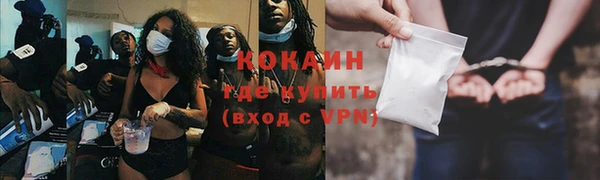 крисы Болотное