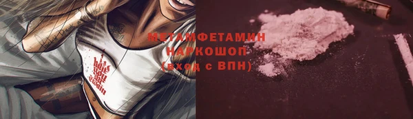 крисы Болотное