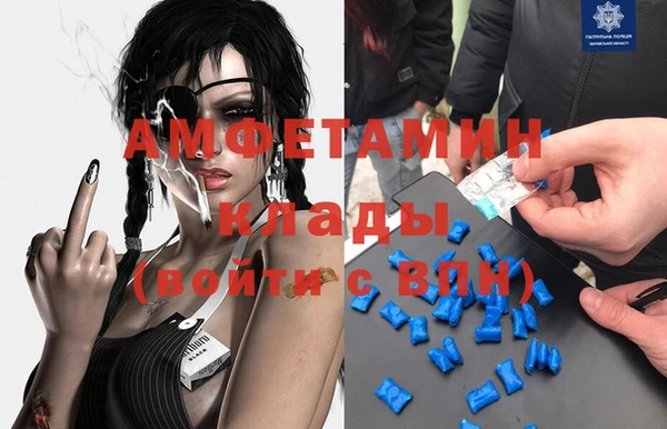 крисы Болотное
