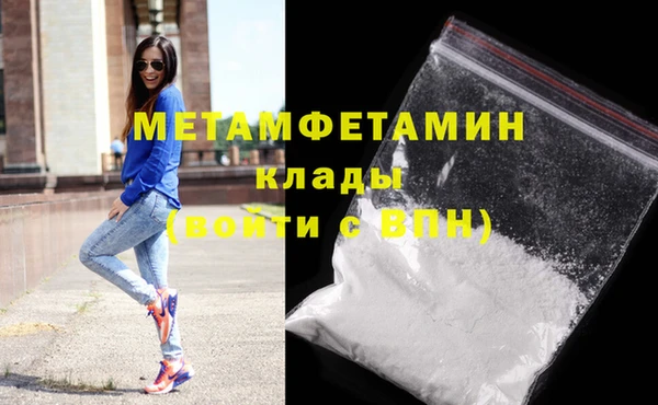 крисы Болотное