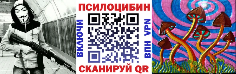 хочу наркоту  Киселёвск  Галлюциногенные грибы GOLDEN TEACHER 